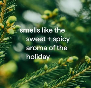 foaming hand wash – balsam + berry. 10 fl oz