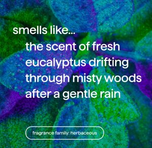 foaming hand wash – eucalyptus + rosemary. 10 fl oz