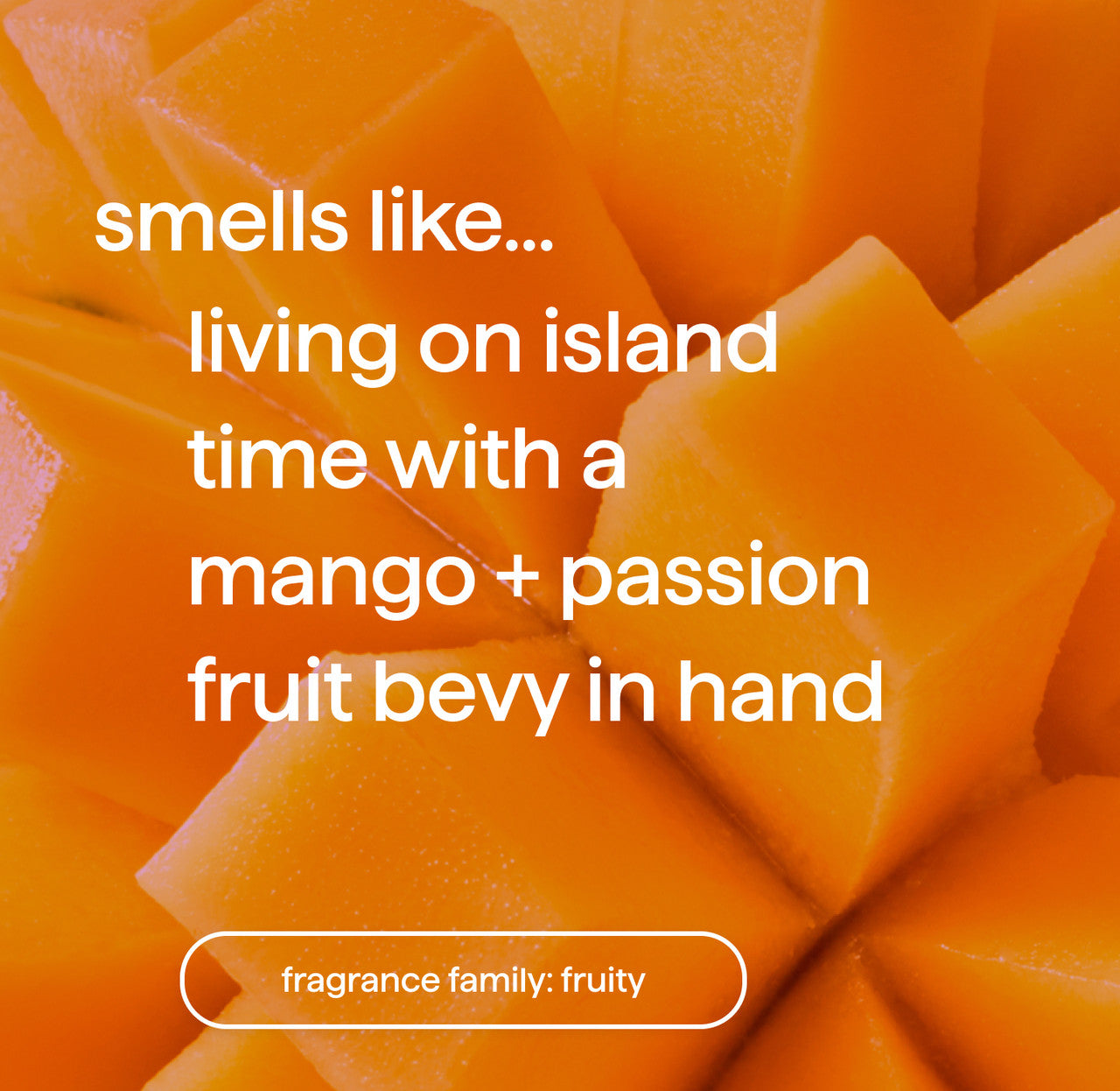 03_islandmist_fragrance__44517.1732900615.1280.1280_b32bddea-0358-4724-91ba-49c2e0a496e2.jpg