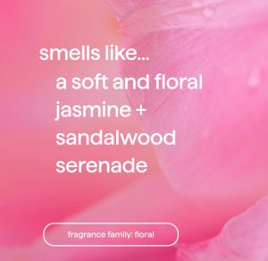 dream foam | foaming body wash – jasmine + sandalwood. 13.5 fl oz