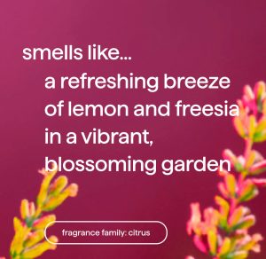 foaming hand wash – lemon + freesia. 10 fl oz