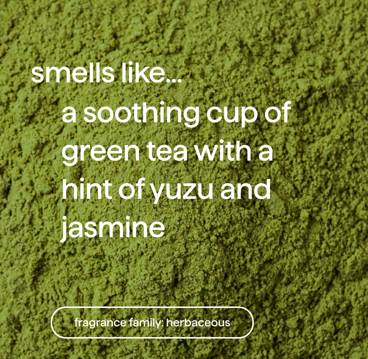 03_mindfulmatcha_fragrance__55894.1732906275.1280.1280_cbc39d38-ae09-4317-a32f-51b266320cc7.jpg