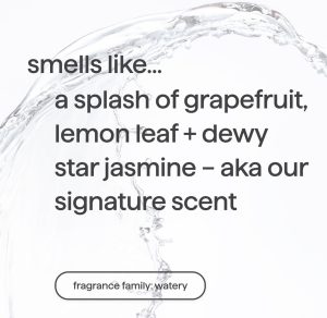 gel hand wash refill – sweet water. 34 fl oz 1