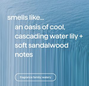 foaming hand wash refill – waterfall. 28 fl oz 1