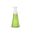 foaming hand wash - green tea + aloe. 10 fl oz