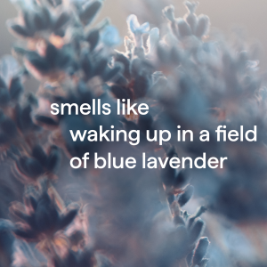 body wash – wind down. 28 fl oz