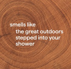 2-in-1 shampoo + conditioner – cedar + cypress. 14 fl oz