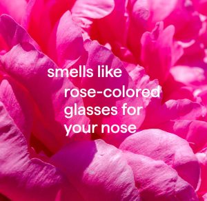 gel hand wash – rose water. 12 fl oz