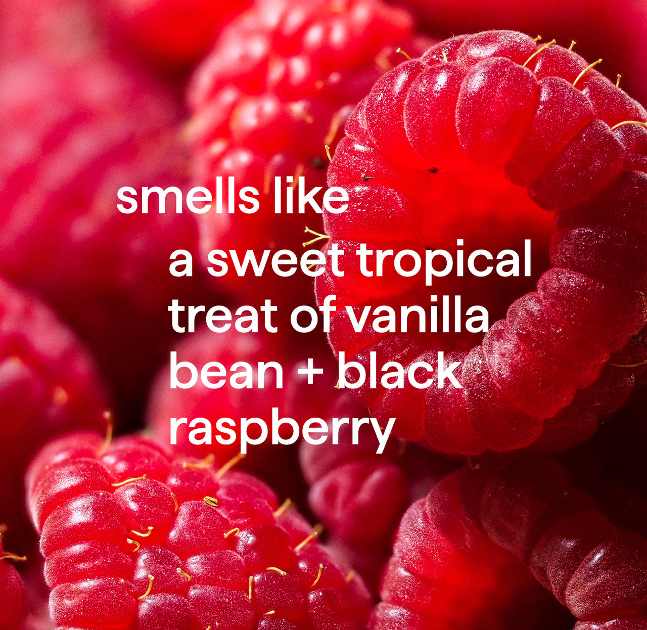 Hand_Vanilla_Rasperberry_Fragrance_1__18856__47444.1726062640.1280.1280_7493a2d5-fd71-44b9-9fbe-b04ab6d736ff.jpg