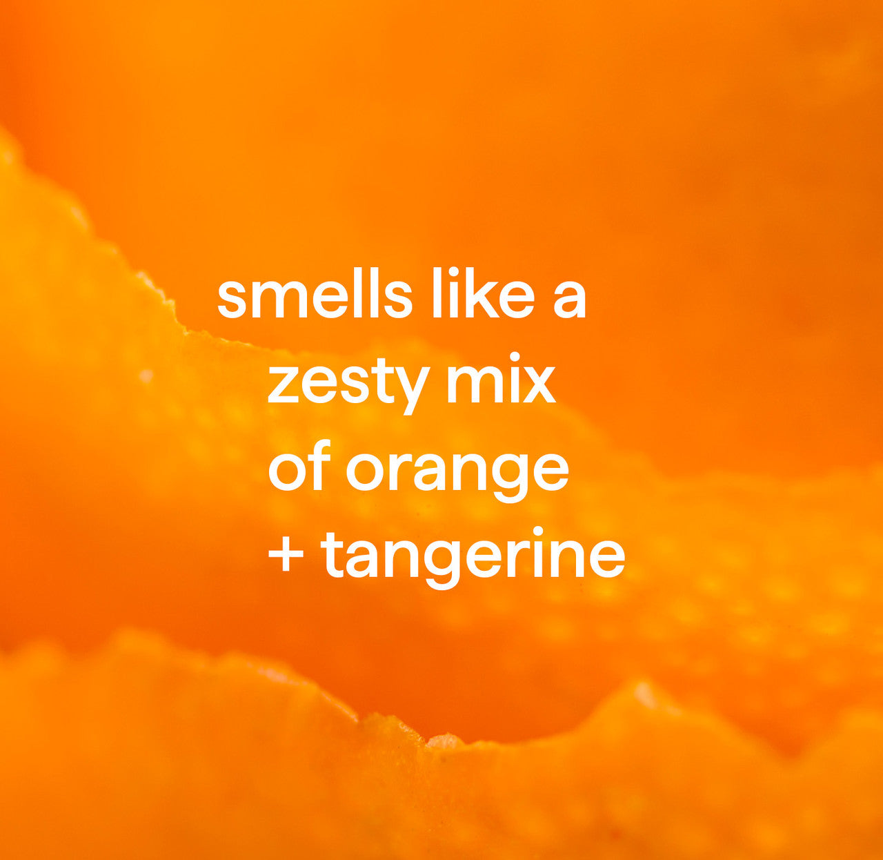Home_Orange_Tangerine_Fragrance__01883__89215.1726062646.1280.1280_f269ddbf-0785-466d-b80e-cd6b3b0de93d.jpg
