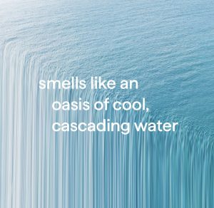 glass cleaner – waterfall. 28 fl oz