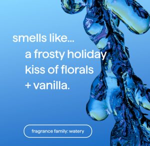 foaming hand wash – frost + flurry. 10 fl oz