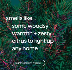 foaming hand wash – juniper + joy. 10 fl oz